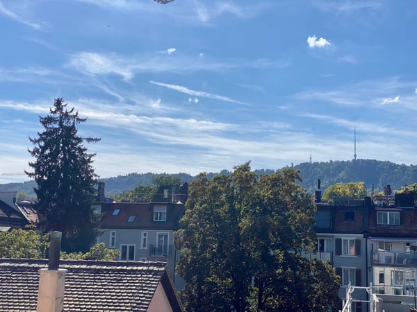 Attraktive 1.5 Zimmerwohnung in Alt-Wiedikon an ruhiger Lage mit Aussicht 8