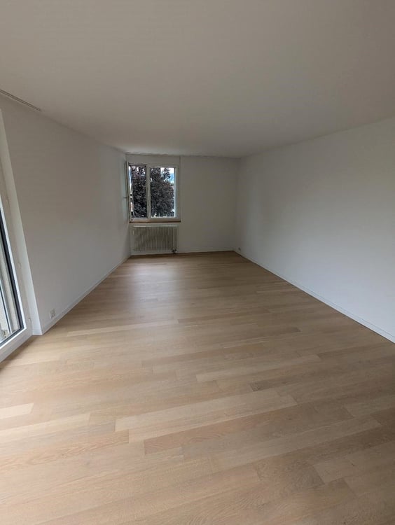 Attraktive 4.5-Zimmer-Wohnung in Schlieren 5