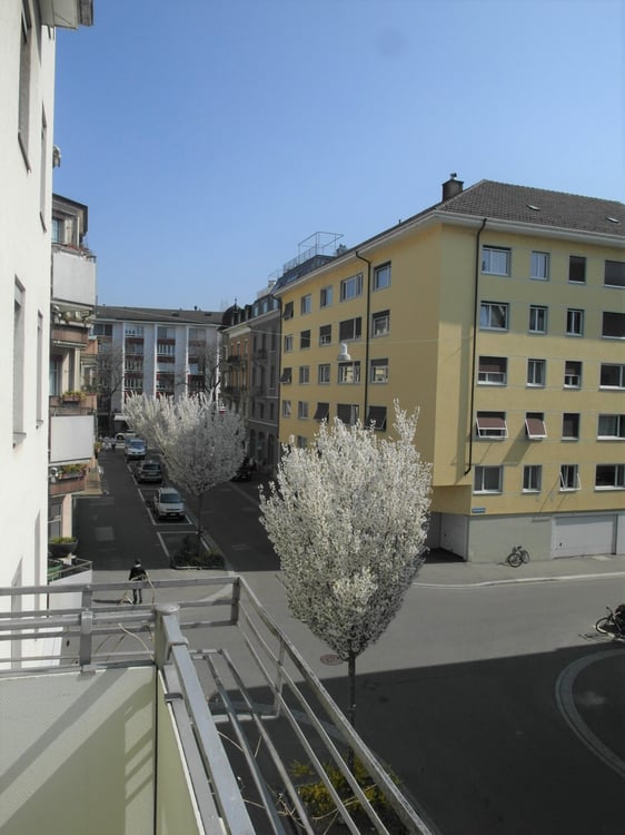 BEFRISTET: 3-Zimmer-Wohnung mit Balkon im Seefeld 7