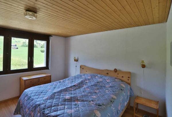 Sonnige Gartenwohnung direkt am Ski- und Wandergebiet 4