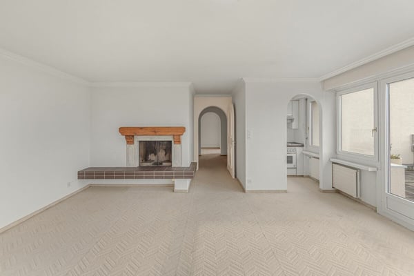 Weitblick über Rhein, Reben und Stadt 3