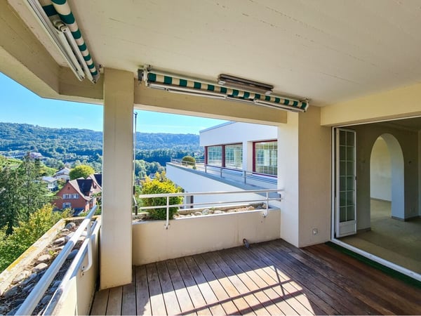 Weitblick über Rhein, Reben und Stadt 7