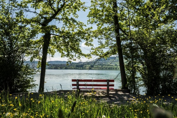Letzte Gelegenheit - Ihr Zuhause mit Blick zum Hallwilersee 8