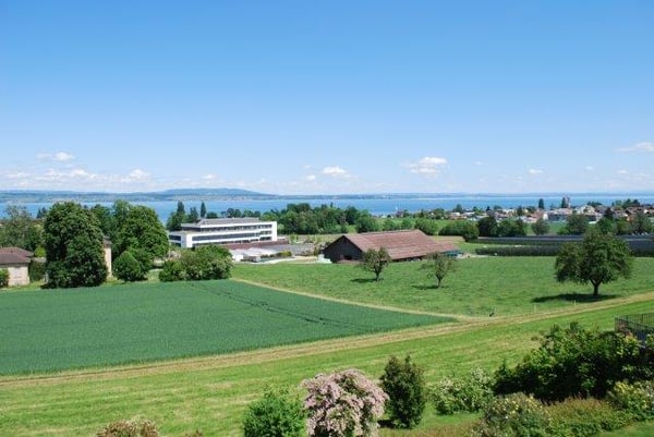 Helle 4.5-Zimmer-Wohnung mit Seesicht in Münsterlingen – sofort verfügbar! 1