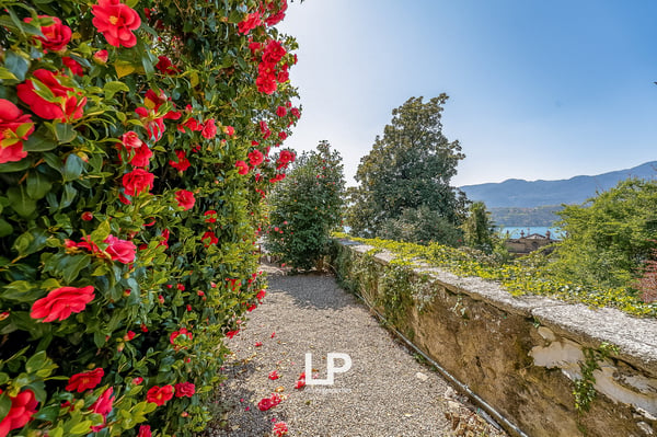 Villa in Orta San Giulio 11