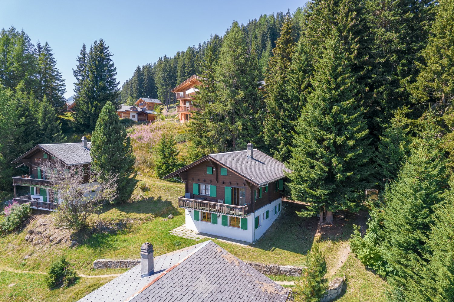 Mountain house, brown and white exterior, several houses, surrounded by tall trees, balcony, multiple windows, located on a slope