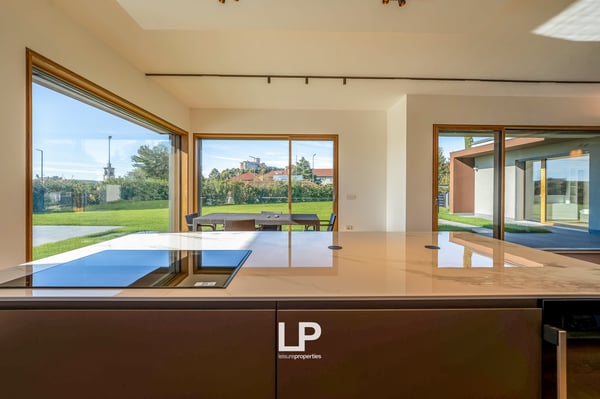Villa Angera 21