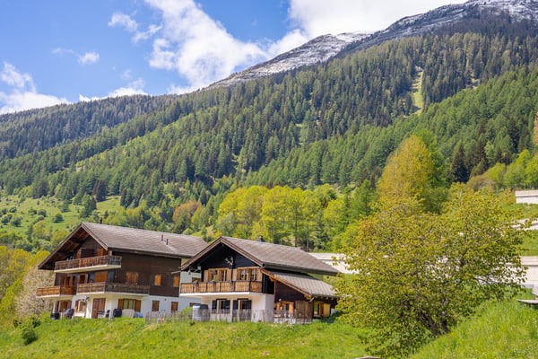 Charmantes Chalet in Goms – Idyllisches Bergdomizil 1