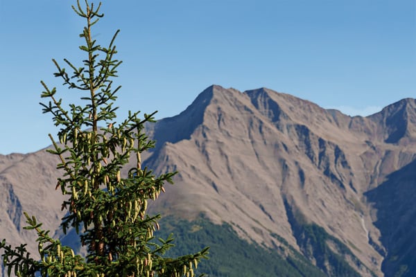 Charmantes 5-Zimmer-Chalet an der Riederalp – Traumhafter Bergblick und rustikaler Charme 25