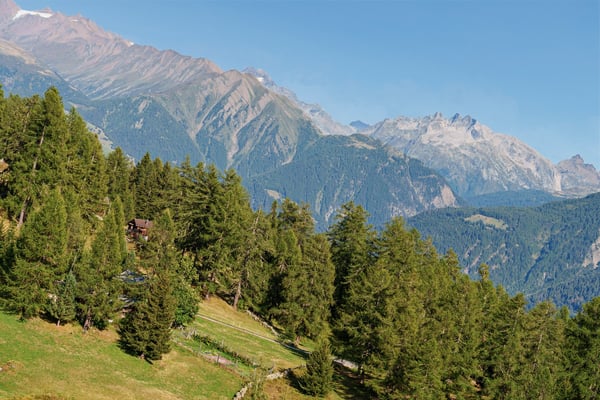 Charmantes 5-Zimmer-Chalet an der Riederalp – Traumhafter Bergblick und rustikaler Charme 45