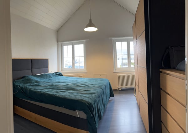 1-Zimmer-Einfamilienhaus mit Ausbaupotenzial 6