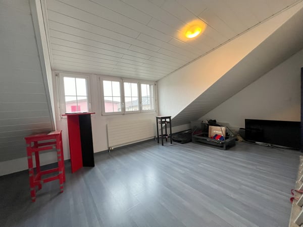 1-Zimmer-Einfamilienhaus mit Ausbaupotenzial 7