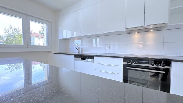 Ersbezug nach Sanierung! Grosse 5.5 Zimmerwohnung mit herrlicher Terasse in St.Gallen! 3