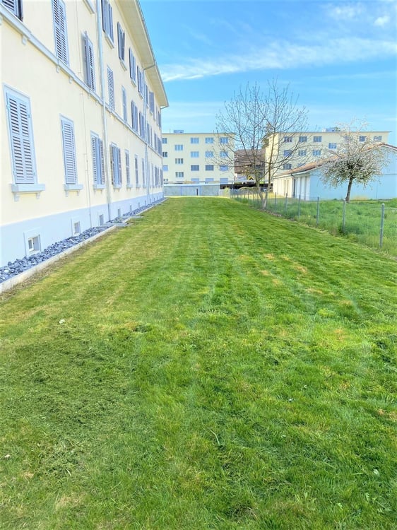 Gemütliche 1 Zimmerwohnung in Gerlafingen 3