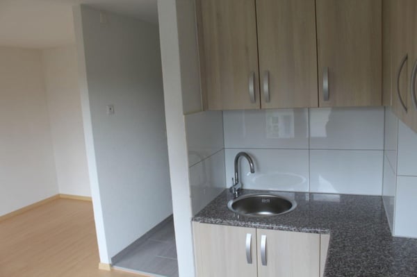 Gemütliches 1-Zimmer-Apartment in Zuchwil  ab sofort verfügbar! 2