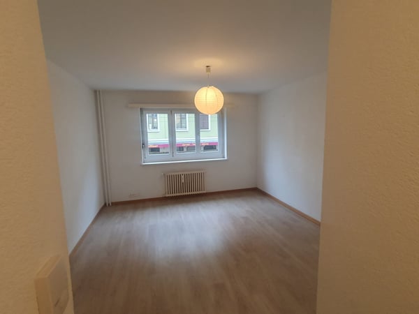 Gemütliches 1-Zimmer-Apartment an der Elsässerstrasse in Basel 3