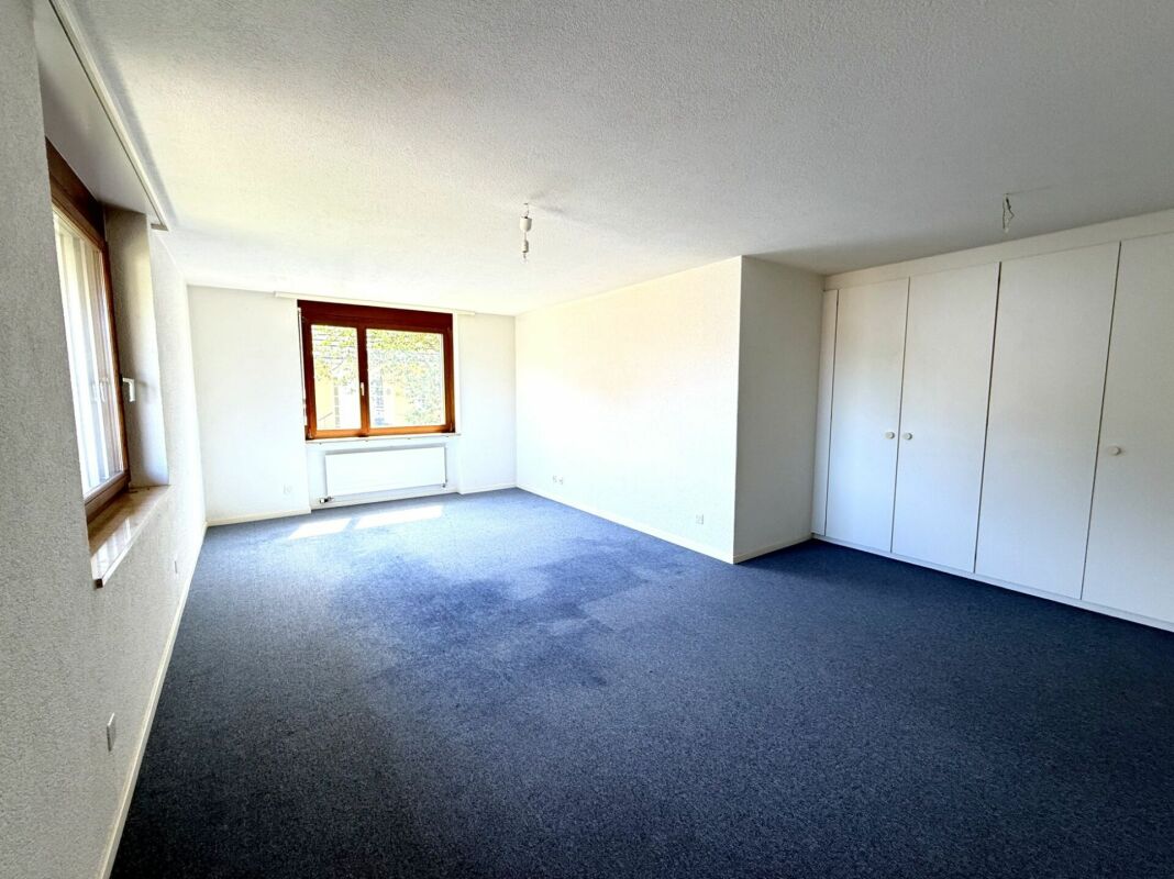 Grosszügiges und freistehendes 9 1/2-Zimmer Einfamilienhaus- naturnahes Wohnen mit Nähe zur Stadt