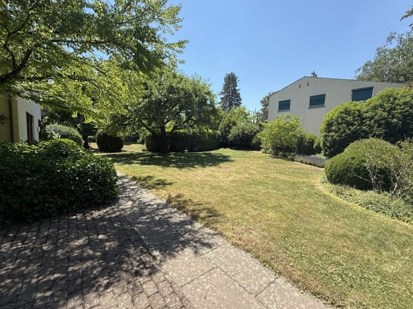 Eine der schönsten Grundstücke in Binningen - Villa mit Entwicklungspotenzial 13