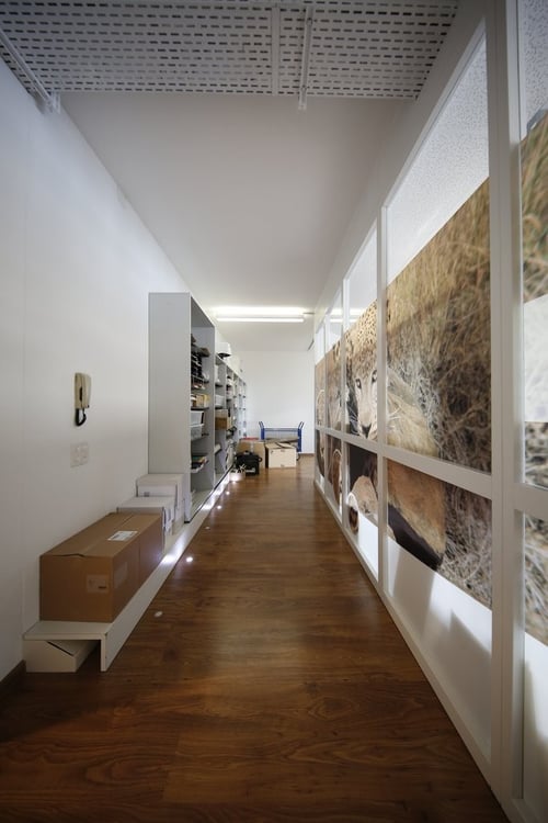 GROSSZÜGIGE GEWERBEFLÄCHE IN SCHÖFTLAND 7