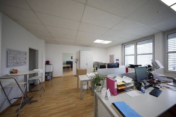 GROSSZÜGIGE GEWERBEFLÄCHE IN SCHÖFTLAND 2