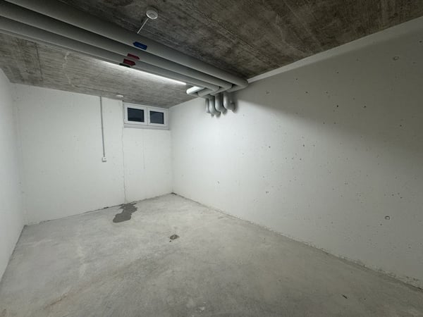 ZUSÄTZLICHER PLATZ FÜR HOBBY UND LAGERUNG IN LEIBSTADT 2