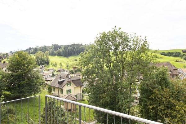 CHARMANTE WOHNUNG MIT BALKON UND WASCHTURM ZU VERMIETEN 10
