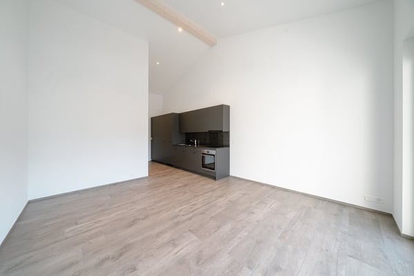 PERFEKTE SINGLE WOHNUNG IN ARBON 2