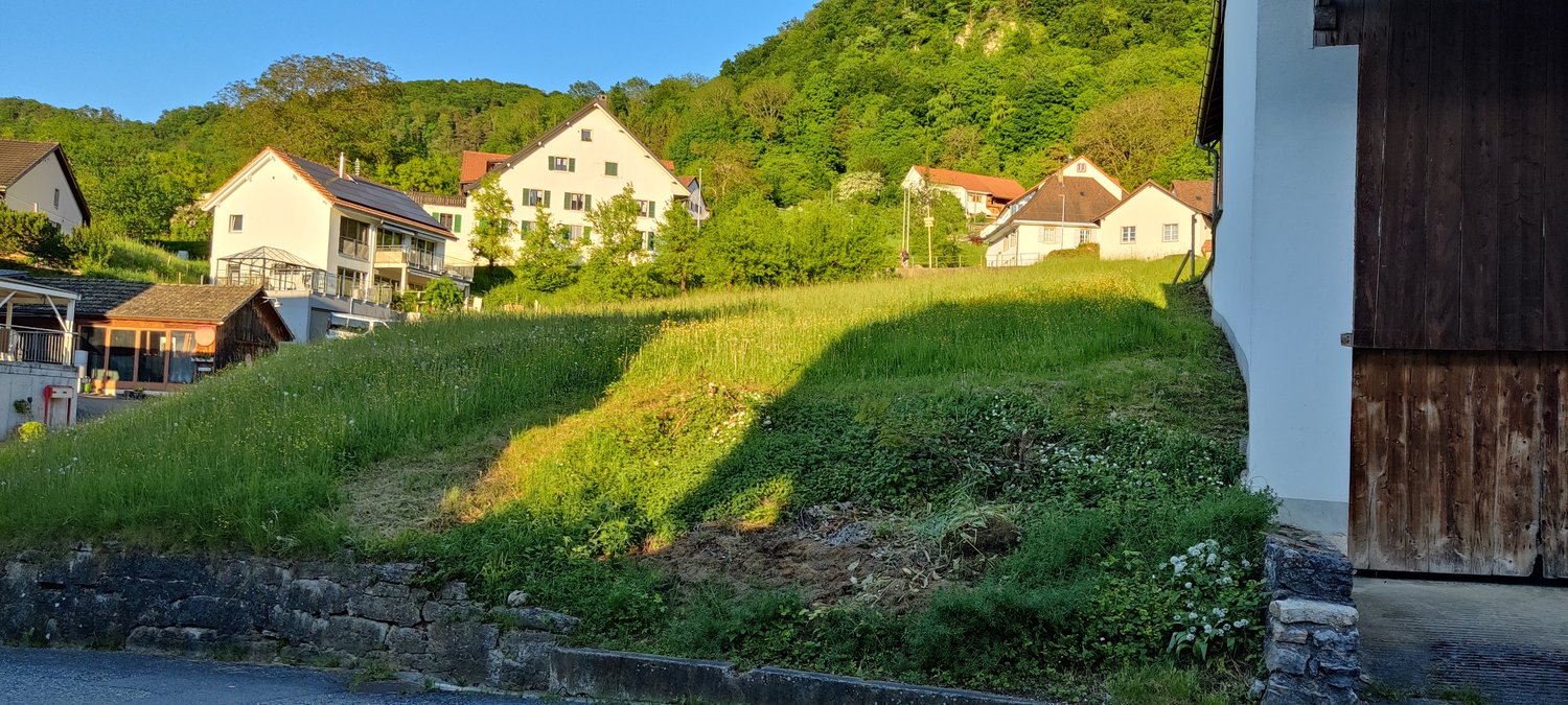 Houses overlooking a slope, surrounded by greenery and a clear sky
