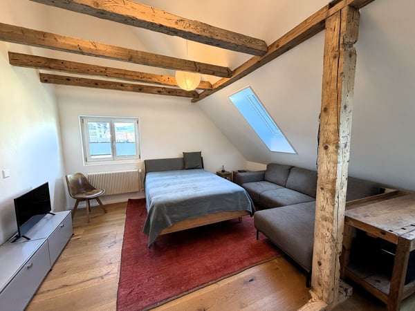 Charmantes 3.5-Zimmer-Einfamilienhaus in Olten – Kernsaniert 2023/2024 9