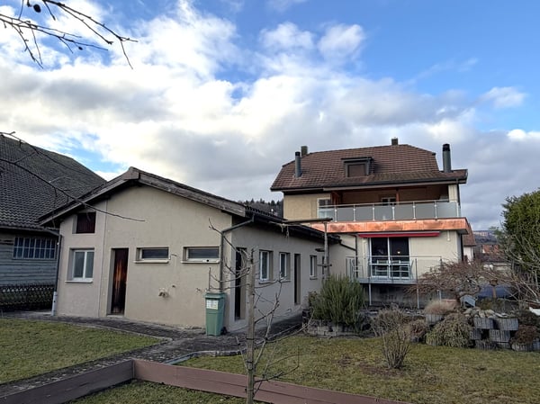 ZWEIFAMILIENHAUS / GENERATIONENHAUS / ARBEITEN UND WOHNEN UNTER EINEM DACH 2