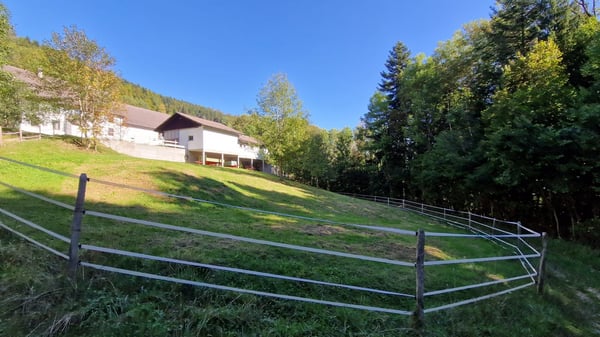 5-Zimmer Renditeobjekt in Glovelier – Einmalige Gelegenheit 4