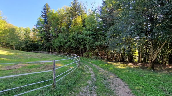 5-Zimmer Renditeobjekt in Glovelier  Einmalige Gelegenheit 6