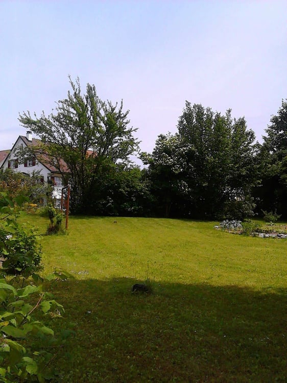 Historisches 1.5-Zimmer Haus im Zentrum von Wetzikon 2