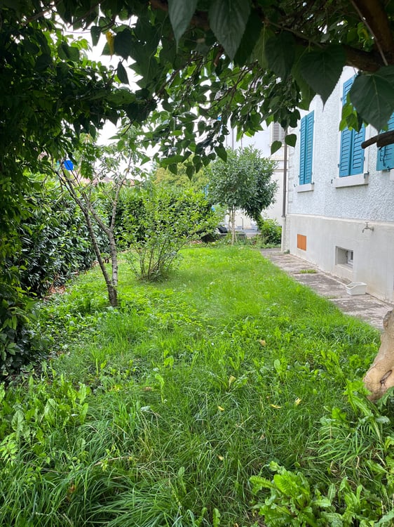 Top-Deal: Mehrfamilienhaus mit 6.5% Rendite! PREISREDUKTION! 10