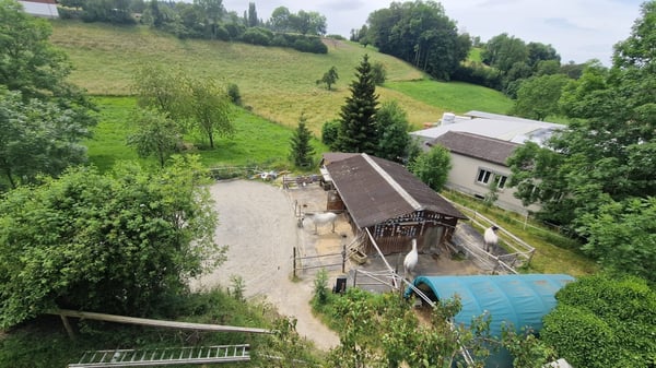 MFH mit 2 Einheiten mit Baupotenzial 6