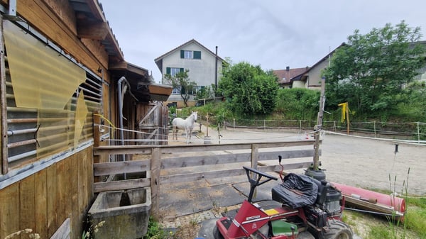 MFH mit 2 Einheiten mit Baupotenzial 5