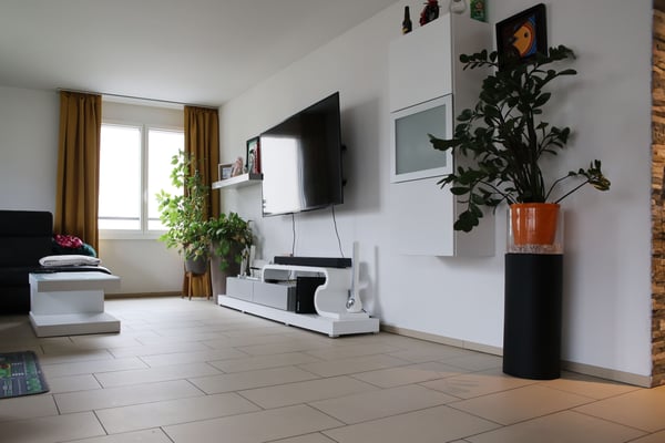 Attraktive 1.5-Zimmer-Wohnung in zentraler Lage von Birr 6