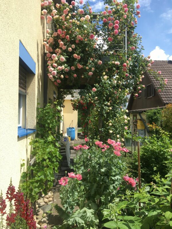 Wohnen wie im Einfamilienhaus