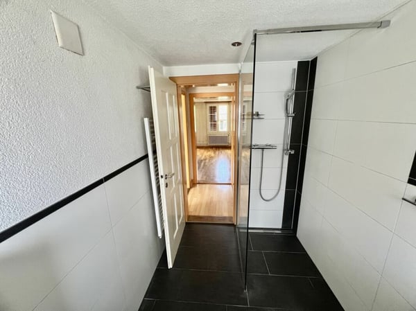 Zentrale 1.5-Zimmer-Wohnung in Bürglen 6