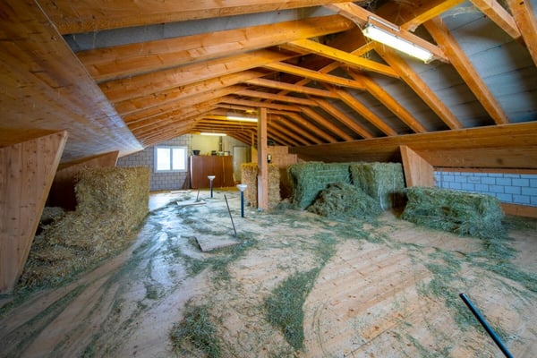 Wunderschönes Haus mit Pool & Stall 14