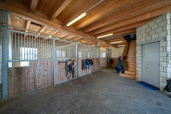 Wunderschönes Haus mit Pool & Stall 15