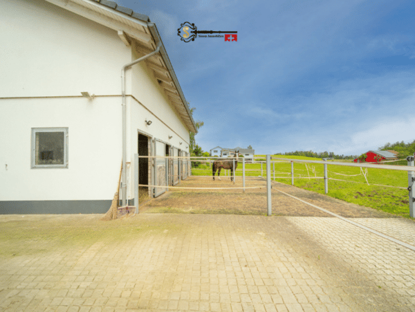Einfamilienhaus mit Stall, Einliegerwohnung und viel Potenzial 18