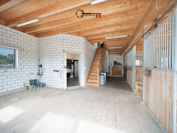 Einfamilienhaus mit Stall, Einliegerwohnung und viel Potenzial 17