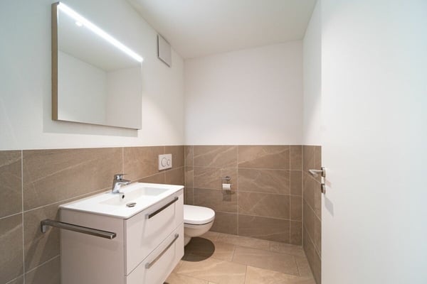 1.5 Zimmer Erdgeschosswohnung mit Rheinblick 4