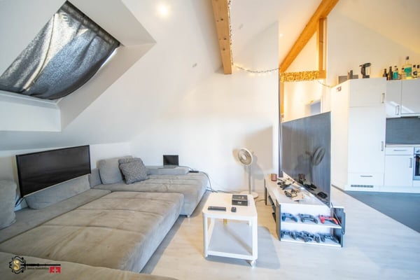 1.5 Zimmer Dachwohnung mit Loftcharakter 5