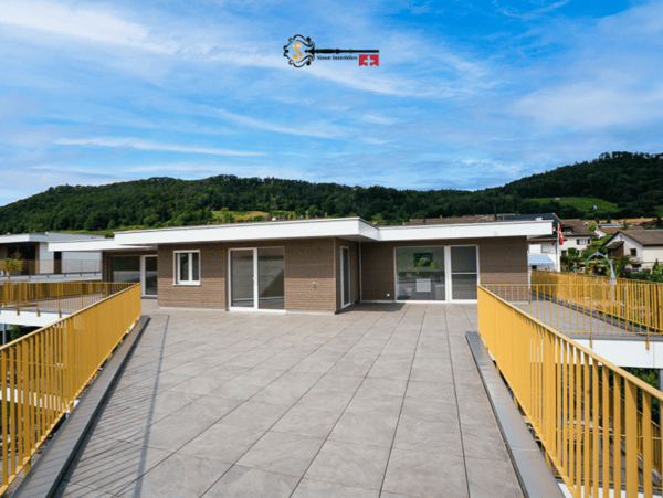 Attika mit Rheinpanorama & grossen Terrassen 4