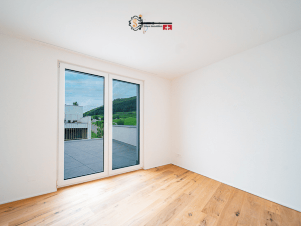 Attika mit Rheinpanorama & grossen Terrassen 9