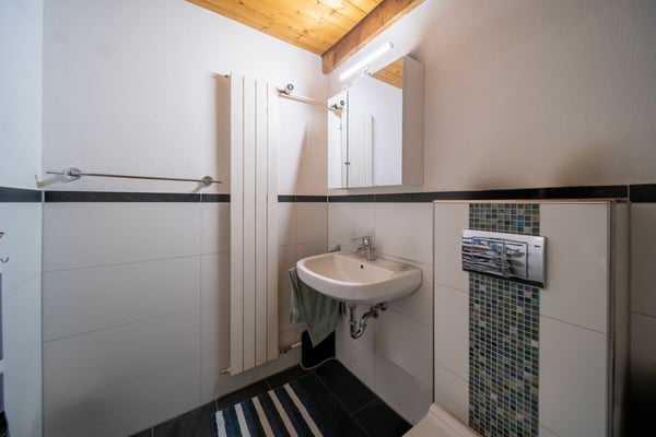 Zwei Wohneinheiten mit Garten und Potenzial an ruhiger Lage in Bürglen TG 16