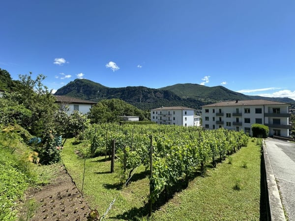 Vendesi interessante terreno edificabile di 1902 mq, in posizione soleggiata e centrale 4