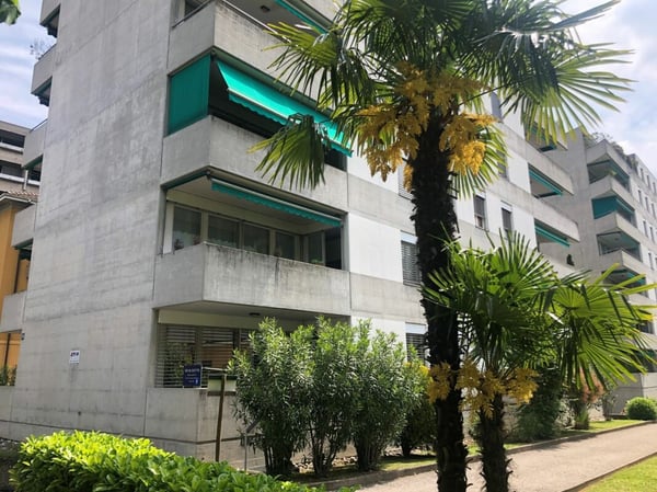 Rinnovato e centrale appartamenti di 1.5 locali affittato 1